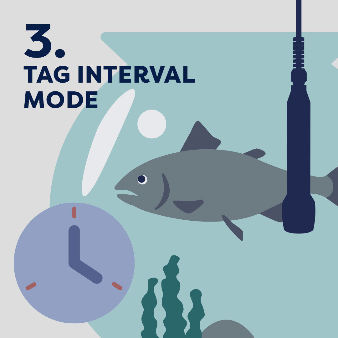24.01-how-to-use-cobalia-tags-tag-interval-mode