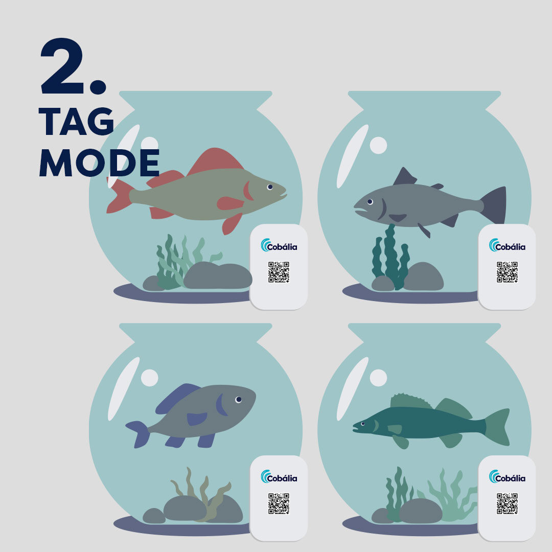 24.01-how-to-use-cobalia-tags-tag-mode