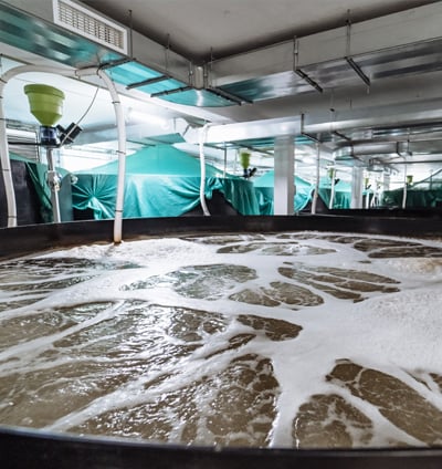 Water Quality Water Quality