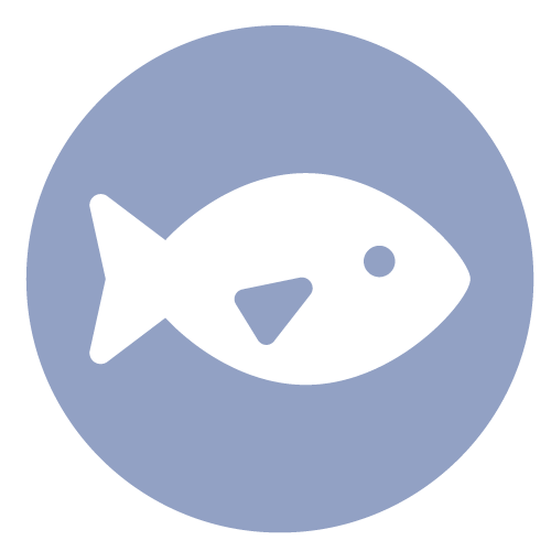 Fish-500x500px
